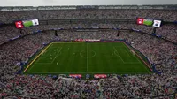Even The World Cup Final Grass Is For Sale. But It's Not Cheap. - HuffPost